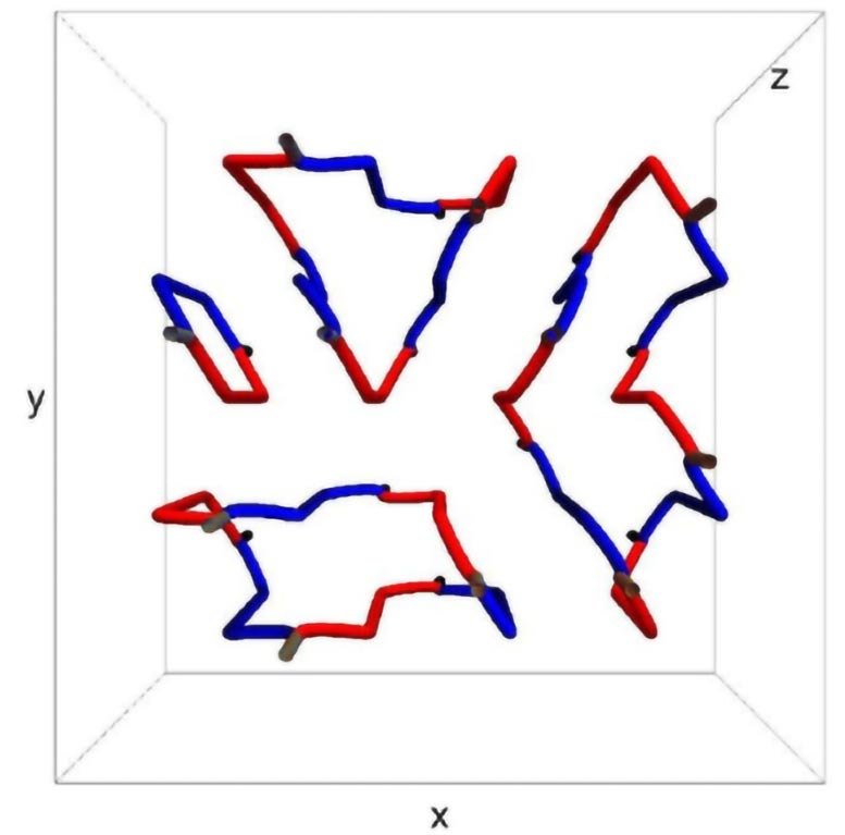 Quantum Vortex Network 3D Configuration Top View